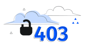403 hatası