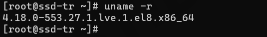 Plesk Üzerinde CloudLinux Kurulumu: Adım Adım Rehber 1 cloudlinux kontrol